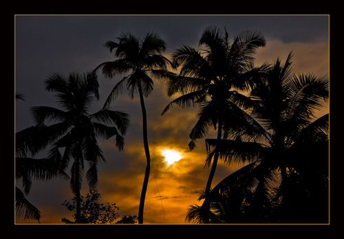 Kerala Sun
