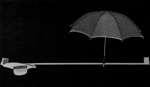 Feb. 1993 Photo of the Month, Still Life by Rudy de Leon