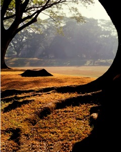 SunkenGarden