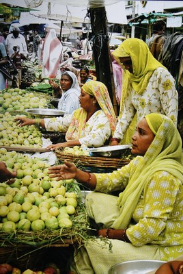 2009 SSCP Photo of the Year