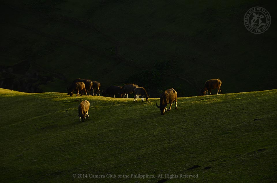 3rd Place, Rudy de Leon, Batanes OTS