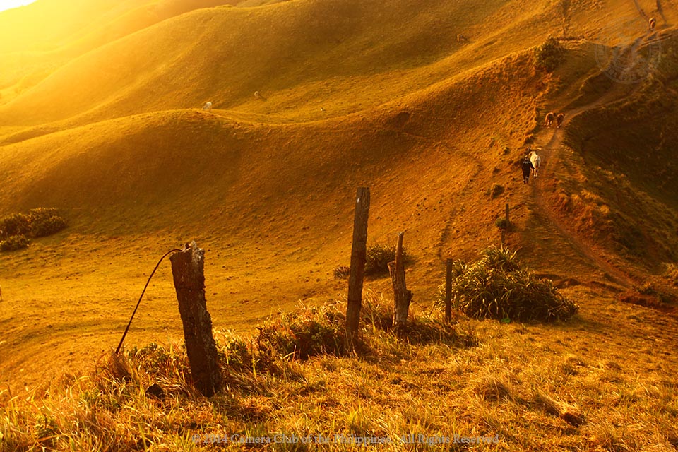 Batanes, February 2014