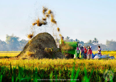 3rd Place, Ed Banaga, Rural Life, CP