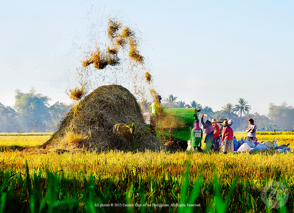 3rd Place, Ed Banaga, Rural Life, CP