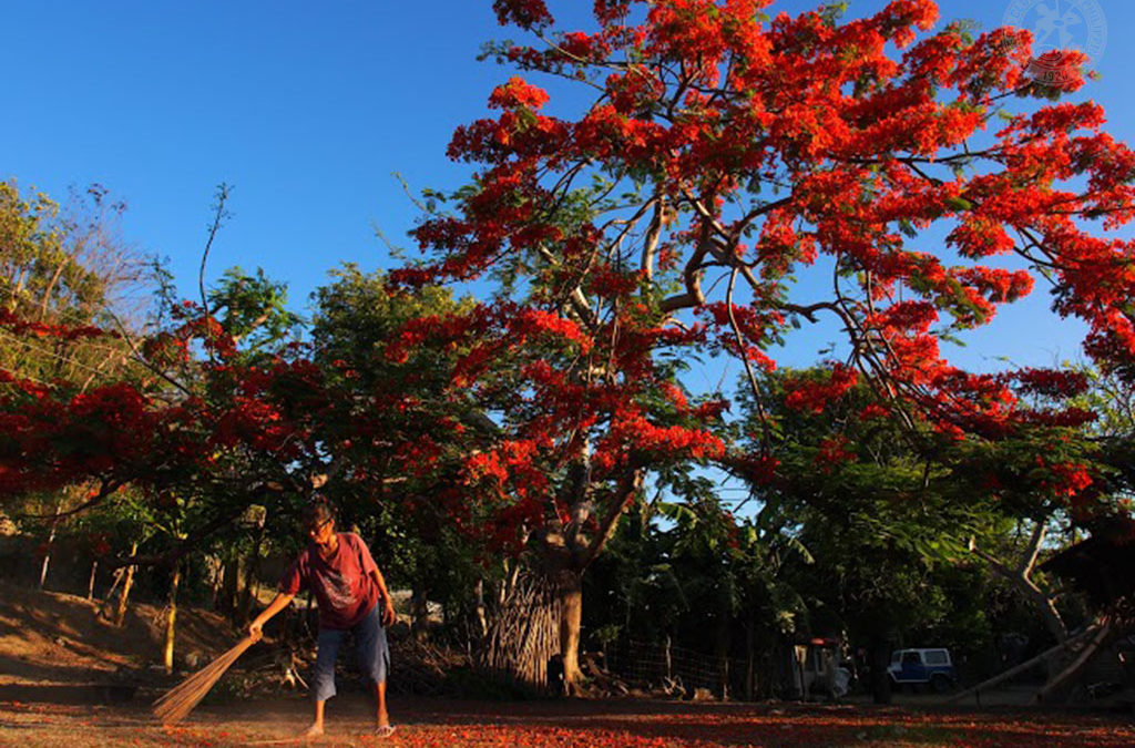 Calatagan, May 2015