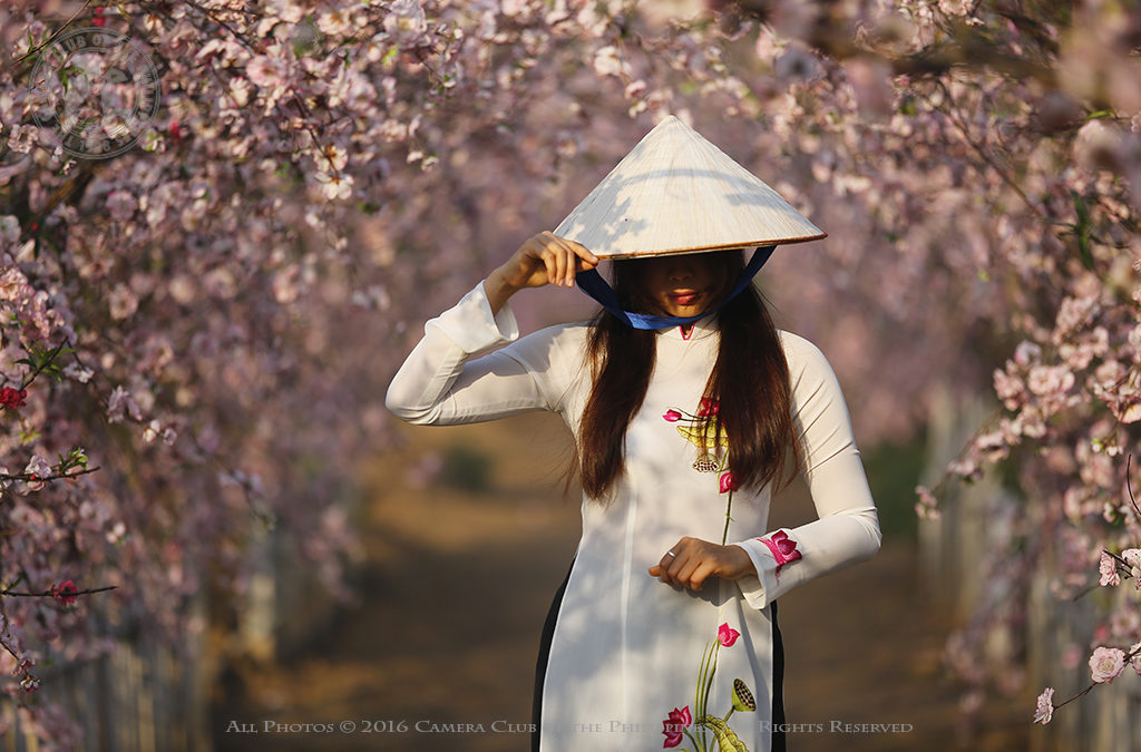 Northern Vietnam, February 2016